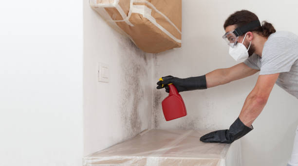 Professional Attic Mold Removal technician working in Wendell, NC